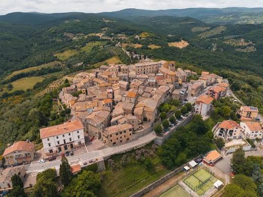 Daytime aerial view of Allerona's terracotta rooftops packed on a green hill