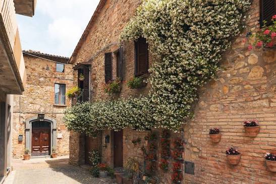 Cobbled lane between stone houses with jasmine climbing a wall and potted geraniums